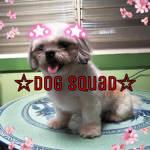 HanaBanana Squad