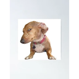 chorirex obby icon