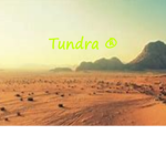 Tundra Cafe