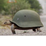 TURTLE ARMY ATTACK NOW