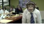 TheMonkeyFamily GROUP
