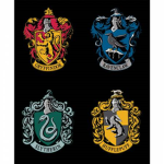 army harry potter