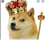 we not a bot