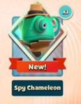 Big Chameleon Clothing