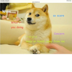 DOGE PACK (join if you love doge)
