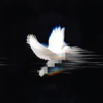 1983's Group Thumbnail