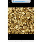 Golden_fans