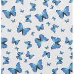 Butterfly squad5