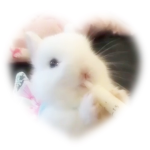 bnybear