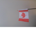 Canadians Robloxians