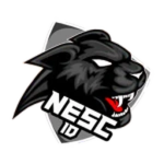 NESC MOUNT