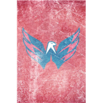 capitols fans
