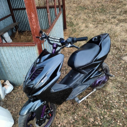 moped land