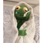 *~Frog Tears~*