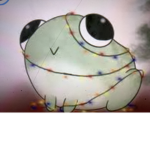 The sleepover frogs