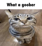 The Goober Cavern [TGC]