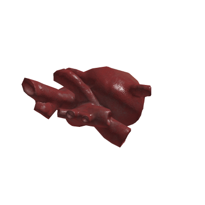 realistic heart
