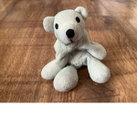 brother bear the bear