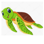 Turtle $quad
