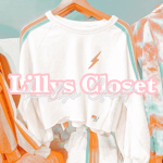 ʚɞ lillys closet ʚɞ