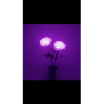 Marie’s Aesthetic Group