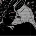 The black bunny team