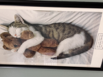 Delilah or Lilah