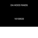 DH RAIDSS