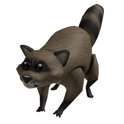 Attack Raccoon thumbnail
