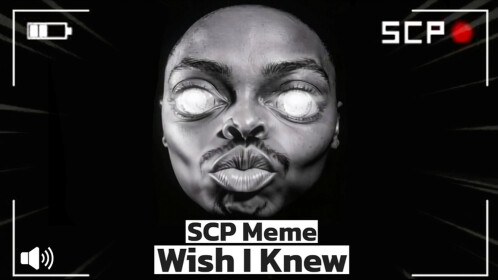 Survive Wish I knew