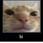 hheya hi hell ciao