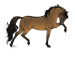 Star Light Stables Equestrian Group!