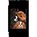 Dog poop gang