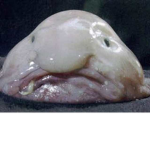 ello waz up