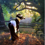 Horse - Infer
