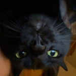 sammy <3