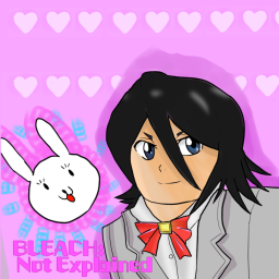 Bleach: Not Explained