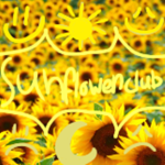 Thesunflowersclub