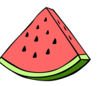 Watermelon7767