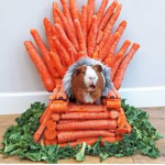 Carrots Kingdom United
