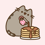 milky cat !