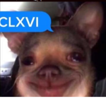 CLXVI