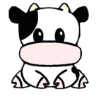 Alex's Fan Group For panda's