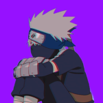 The Shinobis of America