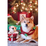 {~Doge fan club~}
