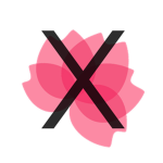 X Hub