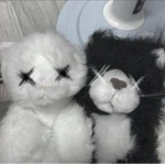 ¿meow?