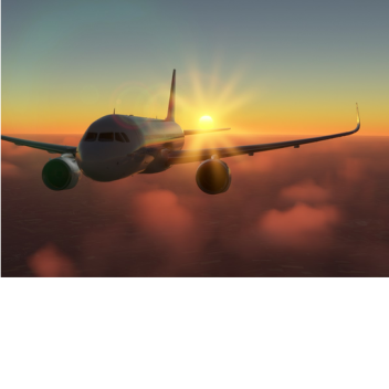 Plane Crash Sad Story 😭😭😭