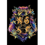 Harry Potter club!!