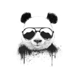 VERY Good Clothing!